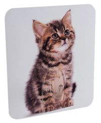 Crochet auto-adhésif repositionnable "Chat"