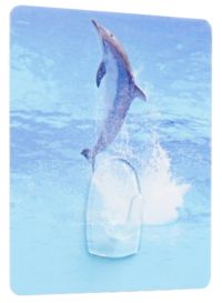 Crochet auto-adhésif repositionnable "Dauphin"