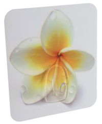 Crochet auto-adhésif repositionnable "Fleur de tiaré"