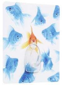 Crochet auto-adhésif repositionnable "Poissons"