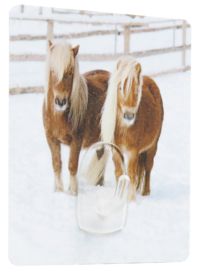 Crochet auto-adhésif repositionnable "Poneys"