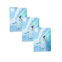 Lot de 3 crochets auto-adhésifs repositionnables "Surfeur"