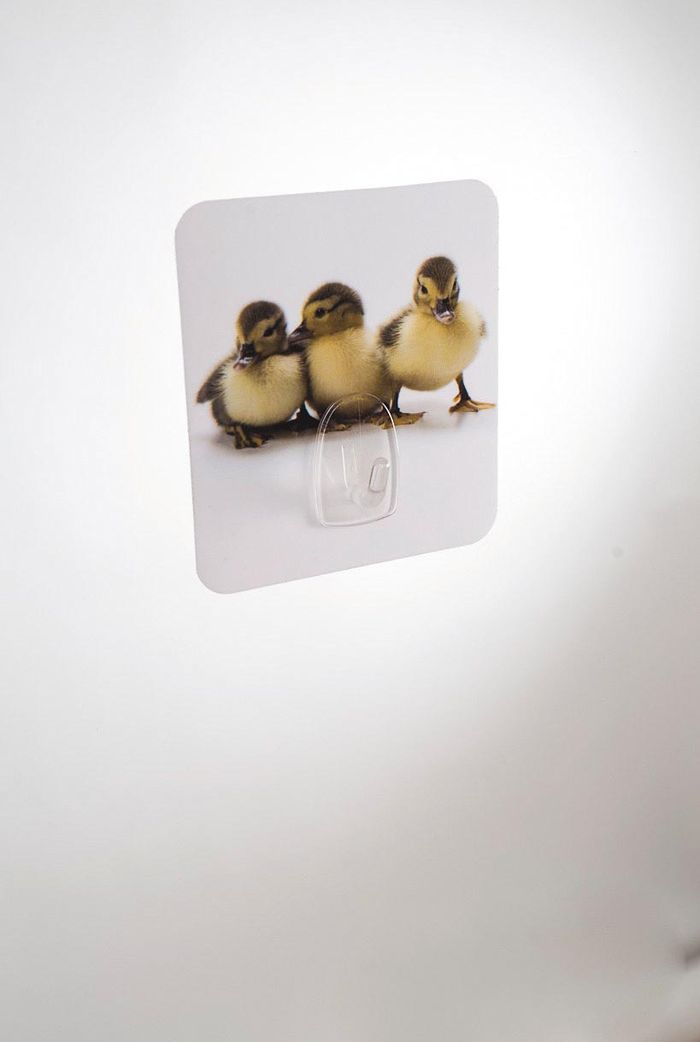 Crochet auto-adhésif repositionnable "Canards" 2 Compactor