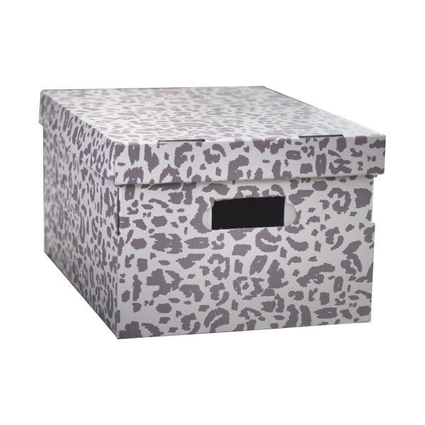 Lot de 2 boîtes "Léo"