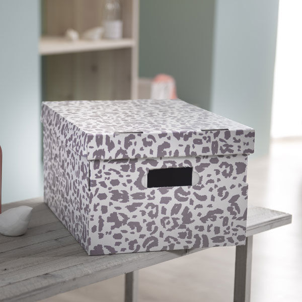 Lot de 2 boîtes "Léo"