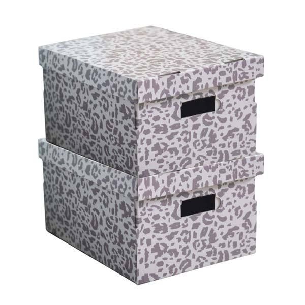 Lot de 2 boîtes "Léo"