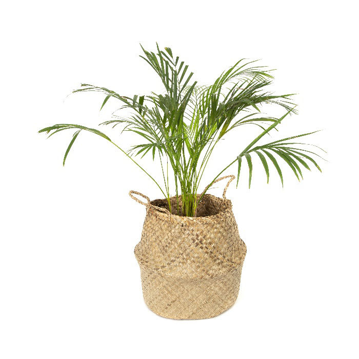 Panier de rangement naturel "Belly" L 5 Compactor