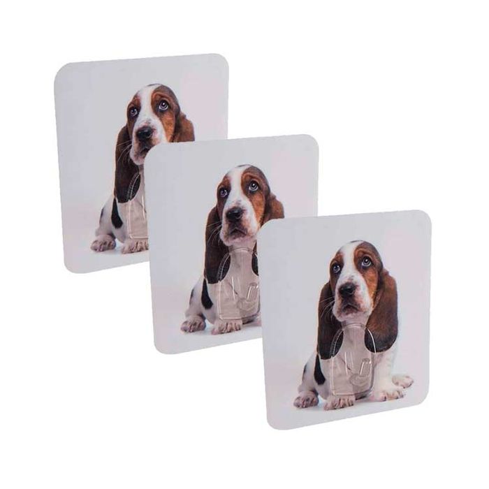 Lot de 3 crochets auto-adhésifs repositionnables "Chien" 1 Compactor