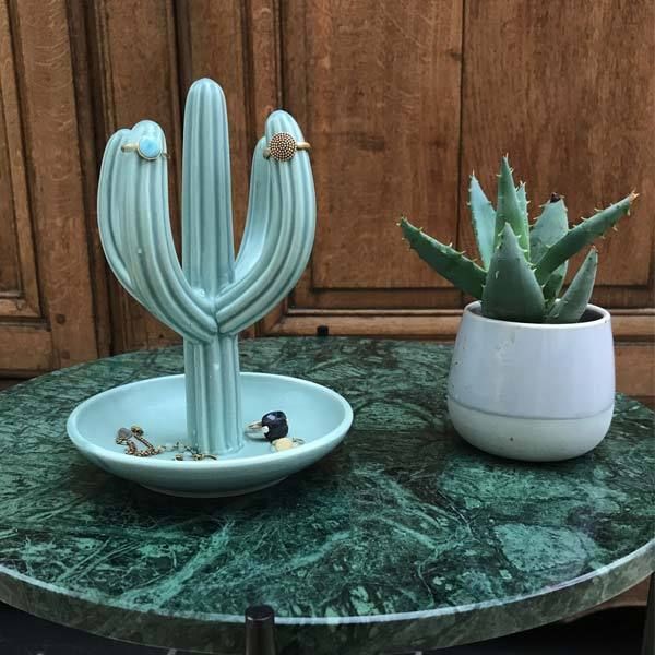 Range-bijoux Cactus