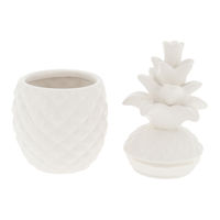Boîte ananas blanche