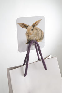 Crochet auto-adhésif repositionnable "Lapin"