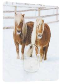 Crochet auto-adhésif repositionnable "Poneys"