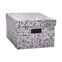 Lot de 2 boîtes "Léo"