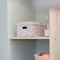 Lot de 2 boîtes "Léo"