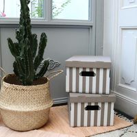 Lot de 2 boîtes « Shirt » coloris taupe