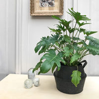 Petit panier "Belly" en feutrine